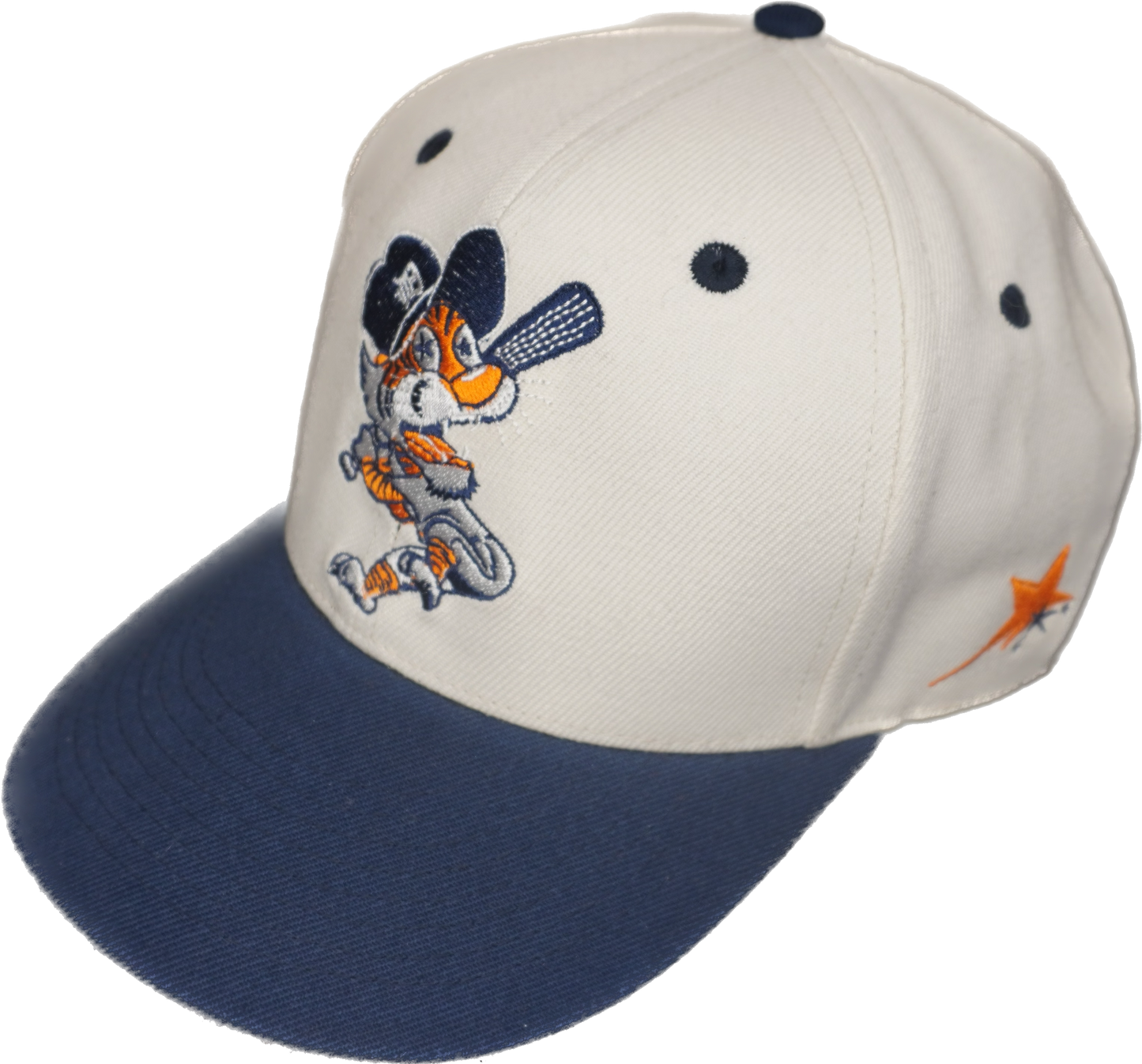 Fitted Detroit Tigers Mascot star eyes